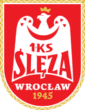 Wroclaw Women's logo - Europe Wecb Elfic Fribourg Women Vs Wroclaw Womens Live