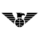 Newcastle Eagles Women logo - British Wbbl Oaklands Wolves Women Vs Newcastle Eagles Women Live Score Today