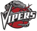 Rio Grande Valley Vipers logo - NBA Live Scores