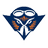 Tennessee Martin Skyhawks Women logo