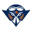 Tennessee Martin Skyhawks Women logo