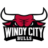 Windy City Bulls logo - National Basketball Association