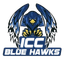 ICC Blue Hawks logo