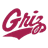 Montana logo