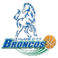 Hume City Broncos logo