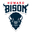 TigerScores365 live score, sport predictions, fixtures and odds - Ncaa Howard Bison Vs South Carolina State Live Basketball