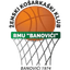 RMU Banovici (W) logo