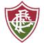 Fluminense U19 logo