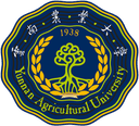 Yunnan Agricultural University Women logo - Live Wcuba China West Normal Universityw Vs Yunnan Agricultural University Women