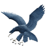 ADMU Eagles Women logo - Philippines Wuaap Ust Growling Women Vs Admu Eagles Women Live Score Today