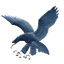 ADMU Eagles Women logo