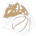 Levhartice Chomutov B Women logo - Czech Wcbc Dbak Women Vs Levhartice Chomutov B Women Scores
