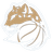 Levhartice Chomutov B Women logo