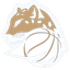 Levhartice Chomutov B Women logo
