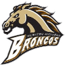 Western Michigan logo