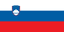 Slovenia U20 Women logo