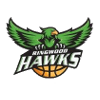 Ringwood Hawks logo - Nbl South Knox Raiders Vs Ringwood Hawks Basketball