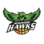 Ringwood Hawks logo