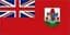 Bermuda logo