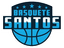 Basquete Santos 1D logo
