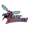 Delaware State logo - Ncaa Saint Josephs Vs Delaware State Result