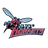 Delaware State logo - Ncaa Result