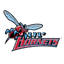 Delaware State logo