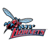 Delaware State logo