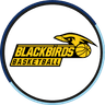 Gussing Jennersdorf logo