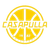 Basket Casapulla U19 logo