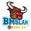 Stal Ostrow Wielkopolski logo - Plk Wilki Morskie Szczecin Vs Stal Ostrow Wielkopolski Result