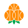 Umea BSKT logo - Sbl Hogsbo Basket Vs Umea Bskt Basketball Score
