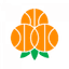 Umea BSKT logo