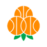 Umea BSKT logo