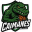 Caimanes del Llano logo