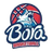 Bora logo - Trepca Live Scores