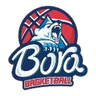Bora logo