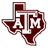 Texas A&M Corpus Christi Women logo