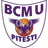 BCMUS Arges Pitesti logo