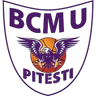 BCMUS Arges Pitesti logo