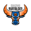 Hanoi buffalo logo
