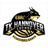 TK Hannover Women logo