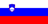 Slovenia U19 logo