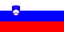 Slovenia U19 logo