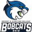 Bryant & Stratton College (Ohio) logo - Youngstown State Scores