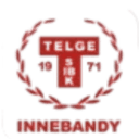 Telge Women logo - Svenska Basketligan Dam Telge Women Vs Hogsbo Women Live Score Today