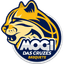 Mogi Basquete LDB U22 logo