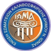 Neas Ionias W logo - Wa Neas Ionias W Vs Panathinaikos Women Result
