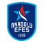 Anadolu Efes Istanbul logo
