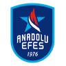 Anadolu Efes Istanbul logo